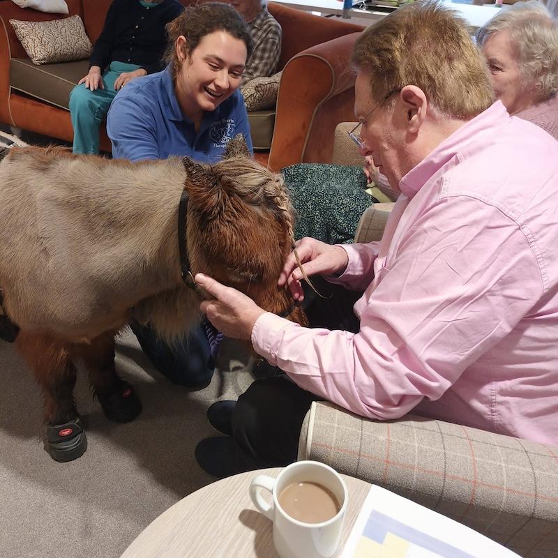 man with brown hair wearing a pink shirt stroking a shetland pony