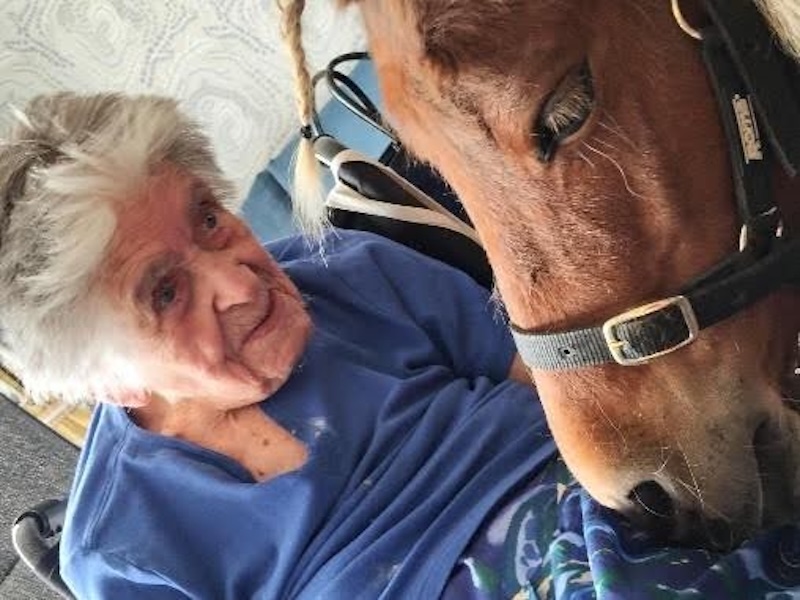 female resident wearing blue sat down smiling and stroking a therapy pony