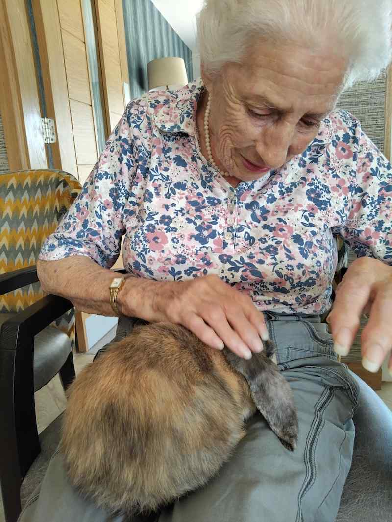 one of our female residents stroking a rabbit that is in her lap